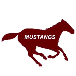 Western Hills University High School