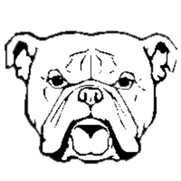 Yellow Springs/McKinney High School