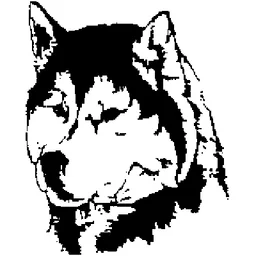 Northwestern High School